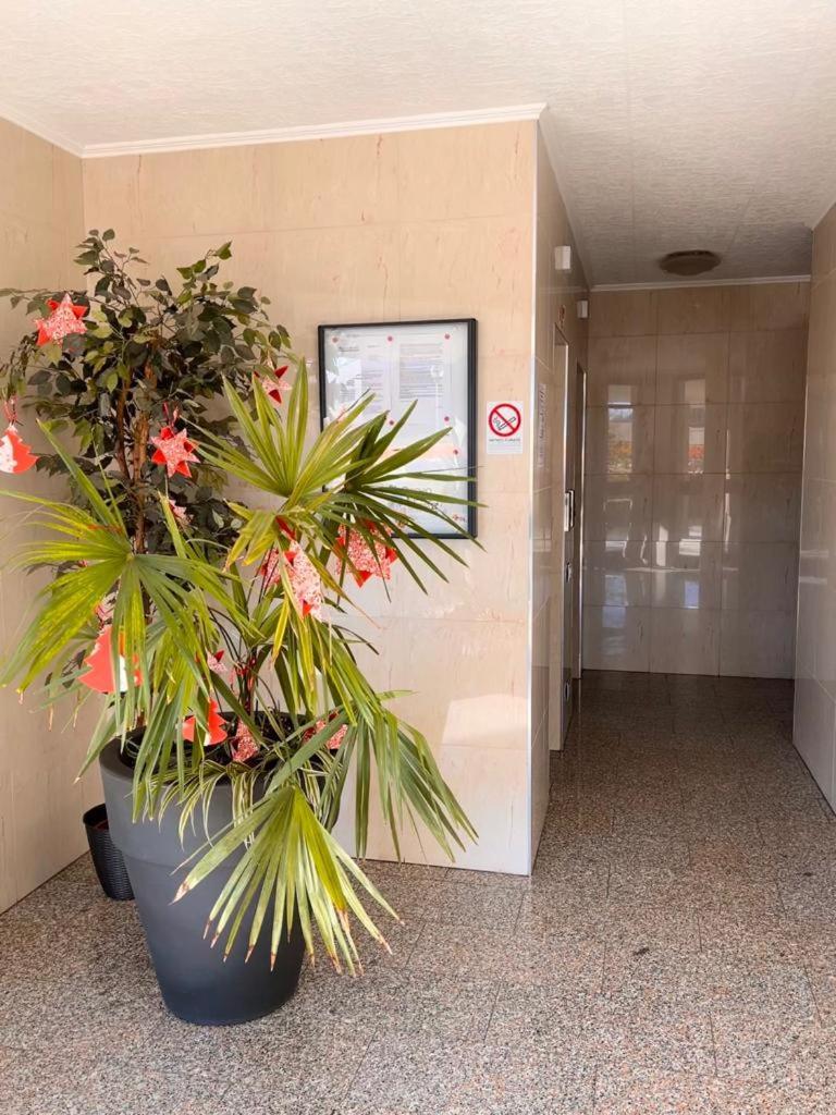 Coco Apartment Bergamo Esterno foto